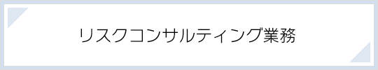 リスクコンサルティング業務